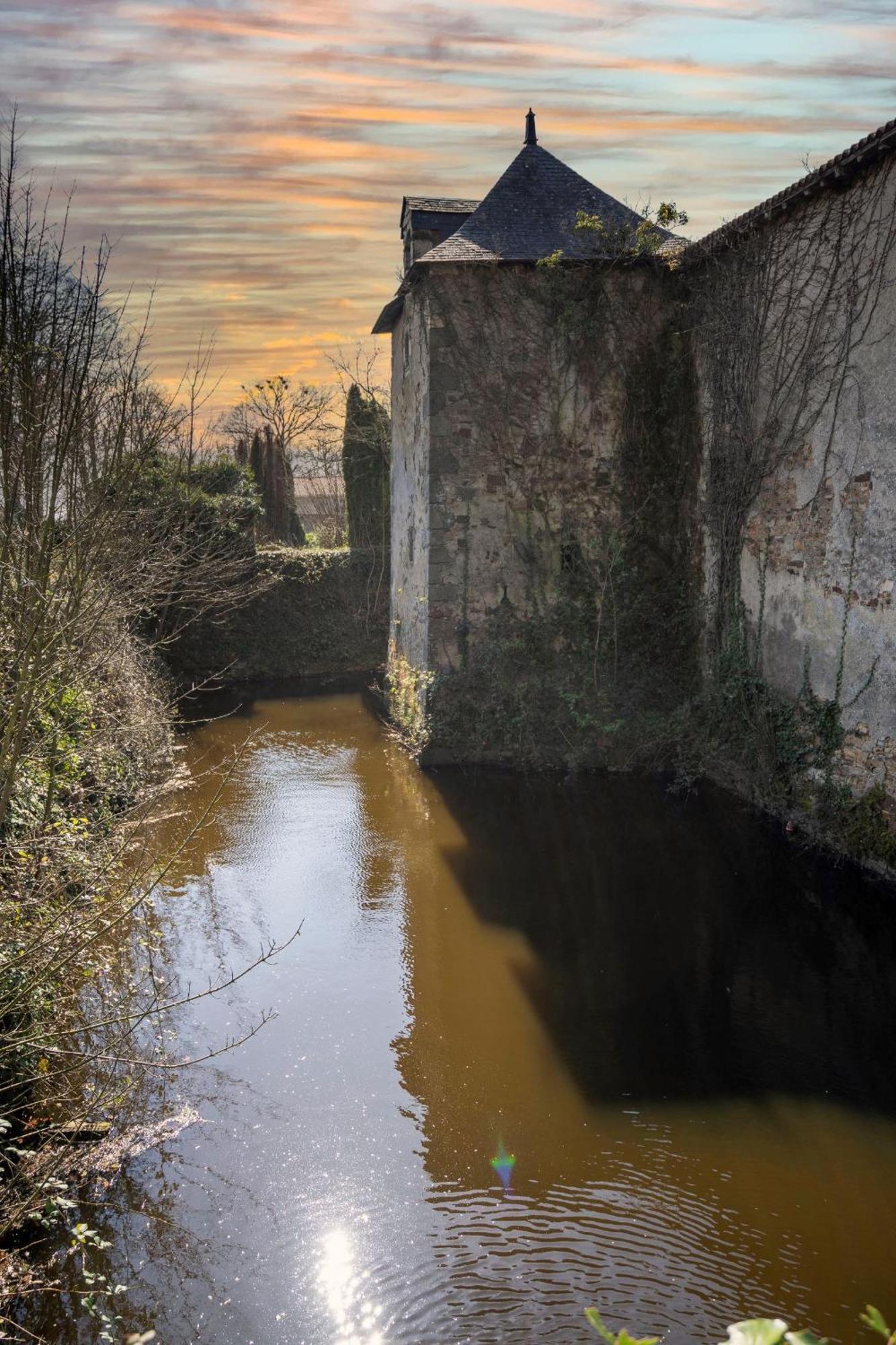 Chateau De La Tourlandry Chemille-en-Anjou Eksteriør billede